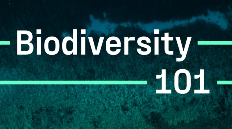 Biodiversity101