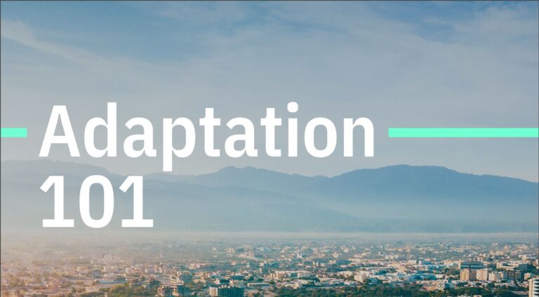 WhatsApp Image 2025-03-25 at 16.54.33